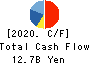 Nippon Shinyaku Co.,Ltd. Cash Flow Statement 2020年Mar期 Nippon Shinyaku Co.,Ltd. Cash Flow Statement 2020年3月期