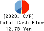 DAI-DAN CO.,LTD. Cash Flow Statement 2020年3月期