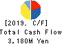 Nippon Pigment Company Limited Cash Flow Statement 2019年3月期