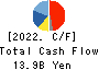 DAIHEN CORPORATION Cash Flow Statement 2022年Mar期 DAIHEN CORPORATION Cash Flow Statement 2022年3月期
