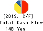 FUKUDA DENSHI CO.,LTD. Cash Flow Statement 2019年3月期