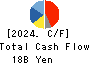 NIHON KOHDEN CORPORATION Cash Flow Statement 2024年Mar期 NIHON KOHDEN CORPORATION Cash Flow Statement 2024年3月期