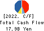 IINO KAIUN KAISHA, LTD. Cash Flow Statement 2022年3月期
