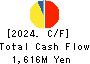 DENSAN CO.,LTD. Cash Flow Statement 2024年Mar期 DENSAN CO.,LTD. Cash Flow Statement 2024年3月期