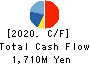 Computer Institute of Japan,Ltd. Cash Flow Statement 2020年6月期