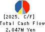 NEW ART HOLDINGS Co., Ltd. Cash Flow Statement 2025年Mar期 NEW ART HOLDINGS Co., Ltd. Cash Flow Statement 2025年3月期