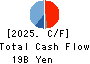 RYODEN CORPORATION Cash Flow Statement 2025年Mar期 RYODEN CORPORATION Cash Flow Statement 2025年3月期