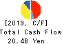 TOAGOSEI CO.,LTD. Cash Flow Statement 2019年12月期