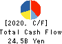 SQUARE ENIX HOLDINGS CO.,LTD. Cash Flow Statement 2020年Mar期 SQUARE ENIX HOLDINGS CO.,LTD. Cash Flow Statement 2020年3月期