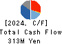 Ubiquitous AI Corporation Cash Flow Statement 2024年Mar期 Ubiquitous AI Corporation Cash Flow Statement 2024年3月期