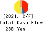 IINO KAIUN KAISHA, LTD. Cash Flow Statement 2021年Mar期 IINO KAIUN KAISHA, LTD. Cash Flow Statement 2021年3月期