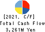 TOKYO PRINTING INK MFG.CO.,LTD. Cash Flow Statement 2021年3月期