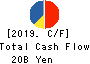KOBAYASHI PHARMACEUTICAL CO.,LTD. Cash Flow Statement 2019年12月期