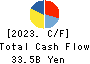 AIN HOLDINGS INC. Cash Flow Statement 2023年4月期