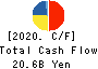 TOAGOSEI CO.,LTD. Cash Flow Statement 2020年12月期