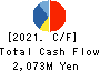Daiseki Eco. Solution Co.,Ltd. Cash Flow Statement 2021年2月期