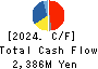 Saison Technology Co.,Ltd. Cash Flow Statement 2024年3月期