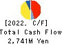 Ryoyu Systems Co.,Ltd. Cash Flow Statement 2022年3月期