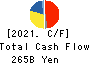 ASAHI KASEI CORPORATION Cash Flow Statement 2021年3月期