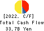 Tokuyama Corporation Cash Flow Statement 2022年3月期