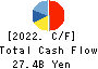 TOKYO STEEL MANUFACTURING CO., LTD. Cash Flow Statement 2022年3月期