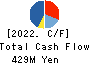 Virtualex Holdings,Inc. Cash Flow Statement 2022年Mar期 Virtualex Holdings,Inc. Cash Flow Statement 2022年3月期