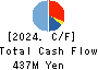 INTRANCE CO.,LTD. Cash Flow Statement 2024年Mar期 INTRANCE CO.,LTD. Cash Flow Statement 2024年3月期