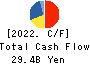 BIPROGY Inc. Cash Flow Statement 2022年Mar期 BIPROGY Inc. Cash Flow Statement 2022年3月期