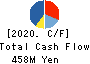 MIZUHO MEDY CO.,LTD. Cash Flow Statement 2020年12月期