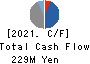 J ESCOM HOLDINGS,INC. Cash Flow Statement 2021年Mar期 J ESCOM HOLDINGS,INC. Cash Flow Statement 2021年3月期