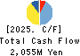 SAAF Holdings Co.,Ltd. Cash Flow Statement 2025年3月期