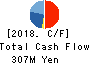 SIG Group Co.,Ltd. Cash Flow Statement 2018年Mar期 SIG Group Co.,Ltd. Cash Flow Statement 2018年3月期