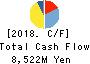RYOYO ELECTRO CORPORATION Cash Flow Statement 2018年1月期