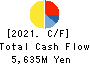 Nihon Tokushu Toryo Co.,Ltd. Cash Flow Statement 2021年3月期