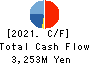 OIZUMI Corporation Cash Flow Statement 2021年3月期