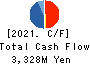 Hayashikane Sangyo Co.,Ltd. Cash Flow Statement 2021年3月期