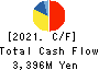 DAIKOKU DENKI CO.,LTD. Cash Flow Statement 2021年3月期