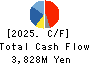 IWAKI CO.,LTD. Cash Flow Statement 2025年Mar期 IWAKI CO.,LTD. Cash Flow Statement 2025年3月期