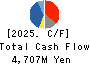 DAIICHI KIGENSO KAGAKU KOGYO CO.,LTD. Cash Flow Statement 2025年3月期