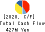 Fund Creation Group Co.,Ltd. Cash Flow Statement 2020年11月期