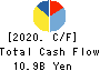 TSUKISHIMA HOLDINGS CO., LTD. Cash Flow Statement 2020年3月期