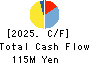 True Data Inc. Cash Flow Statement 2025年3月期