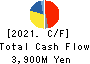 YAMAICHI ELECTRONICS CO.,LTD. Cash Flow Statement 2021年3月期