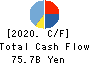 GMO internet Inc. Cash Flow Statement 2020年Dec期 GMO internet Inc. Cash Flow Statement 2020年12月期
