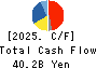 KAMEI CORPORATION Cash Flow Statement 2025年Mar期 KAMEI CORPORATION Cash Flow Statement 2025年3月期