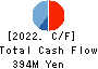 MT GENEX CORPORATION Cash Flow Statement 2022年Mar期 MT GENEX CORPORATION Cash Flow Statement 2022年3月期