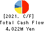 Nippon Seisen Co.,Ltd. Cash Flow Statement 2021年3月期