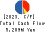 KURIYAMA HOLDINGS CORPORATION Cash Flow Statement 2023年12月期