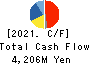 CHUO KAGAKU CO.,LTD. Cash Flow Statement 2021年3月期