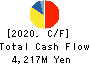 TAIYO KAGAKU CO.,LTD. Cash Flow Statement 2020年3月期